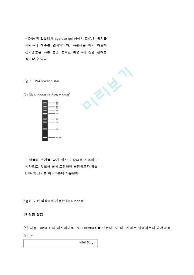 중합효소연쇄반응 PCR (Polymerase Chain Reaction) 결과레포트 [A＋].hwp